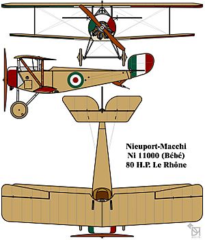 Nieuport-Macchi 11000 (Ni 11) French First World War single seat fighter colourized drawing