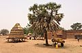Niger, Guesselbodi (7), village scene.jpg