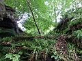 Peden's Cave stable and store, River Lugar, Auchenbay, East Ayrshire