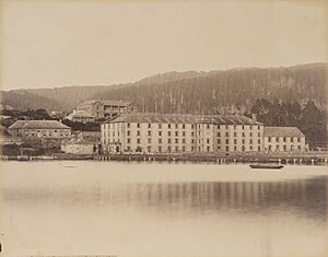 Penitentiary and Mount Arthur Tasmania by Anson Brothers