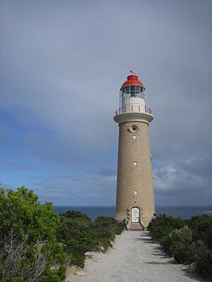 Phare de Cap Couedic