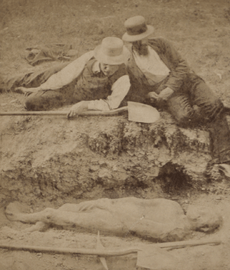 Picture of a petrified body, belonging to a pre-historic race, by W. L. Hall (cropped)