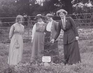 Planting suffragette trees at Eagle House Suffragettes Annie Kenney, Mary Blathwayt, Laura Ainsworth and Charlotte Marsh (left to right)