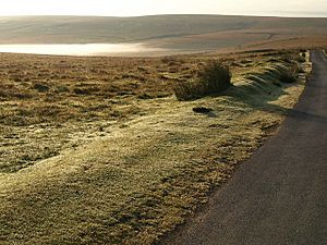 Road to Whiteworks - geograph.org.uk - 1513318