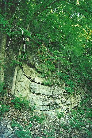 Roundtop Hill outcrop1