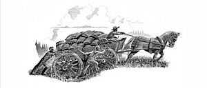 Salt wagon story