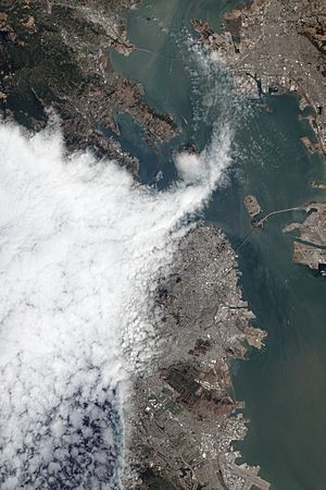 Satellite view of fog over the Golden Gate