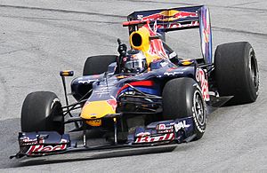 Sebastian Vettel won 2010 Malaysian GP