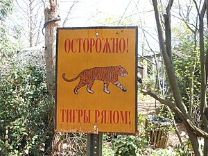 Siberian Tiger Sign