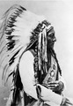 Sitting Bull (Tatonka-I-Yatanka), a Hunkpapa Sioux, 1885 - NARA - 530896 edit