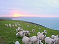 Sunrise over Whitsand Bay - geograph.org.uk - 342935
