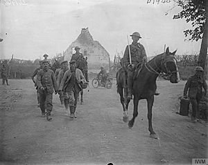 The Battle of Passchendaele, July-november 1917 Q5882