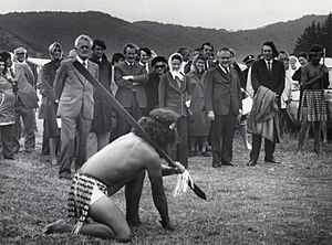 The Challenge at Waitangi Day, 1976