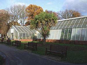 The Conservatory, Roath Park, Cardiff