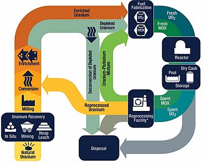 The Nuclear Fuel Cycle (44021369082) (cropped)