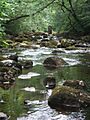 The River Twiss - geograph.org.uk - 519068