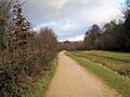 The Trans Pennine Trail through Longendale - geograph.org.uk - 656711