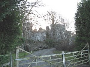 The front of Castell Bryn Bras - geograph.org.uk - 321216