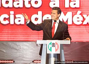 Toma de protesta de Enrique Peña Nieto como Candidato del PRI a la Presidencia de México. (6977614955)
