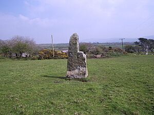Trellwyn-fach maenhir - geograph.org.uk - 200600