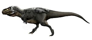 Tyrannosaurus rex by durbed