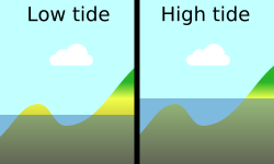 Vanishing island diagram