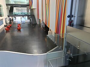 Virginia Museum of Fine Arts in 2021 b