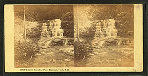 Walker's Cascades, (First) Franconia Notch, N.H, by Bierstadt Brothers