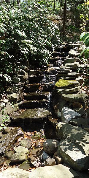 Waterfall garden at arborteum in Short Hills NJ