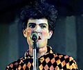 1979 Nambassa Split Enz, Photo Susanna Burton