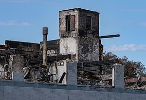 7 SIGMA Factory Burned Down in Minneapolis (50006936283)