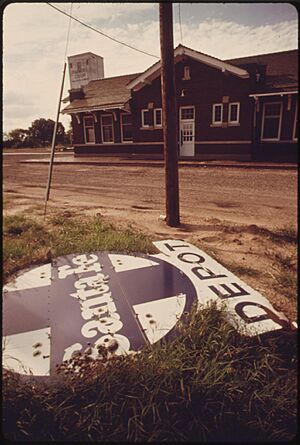 ABANDONED SANTA FE DEPOT SIGN WHICH ONCE BECKONED TRAVELERS AT HALSTEAD, KANSAS, NOW RUSTS IN WEEDS BEHIND THE... - NARA - 556013