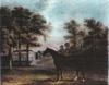 A horse in a landscape with castlemartin in the background. The property was occupied by the Carter family from 1730 to 1850