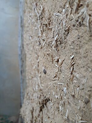 Adobe wall (detail) 1