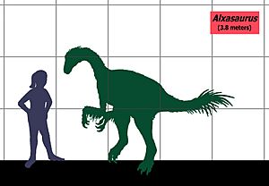 Alxasaurus SIZE