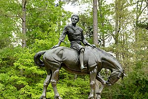 Andrew Jackson, A Boy of The Waxhaws