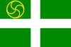 Flag of Arrieta