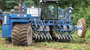 Asa Lift 6 row top lifter carrot harvester