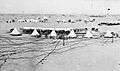 Australian camp near Romani circa 1916 AWM photo A02435