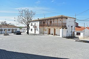 Torrubia del Campo Local Council
