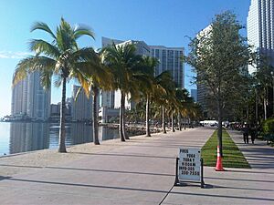 Bayfront Park - panoramio (5)