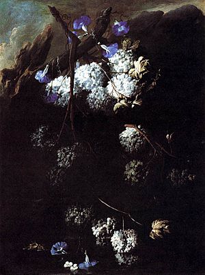 Belvedere, Abate Andrea - Flowers - c. 1680