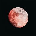 Blood Moon by niranjan photographs