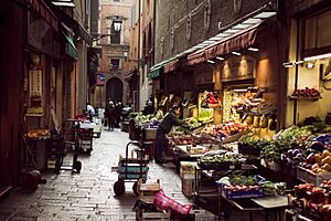 Bologna Via Pescherie Vecchie 01