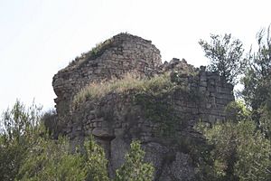 Castell de Rubió