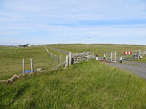 Cattle grid, Stanydale (geograph 3556077).jpg