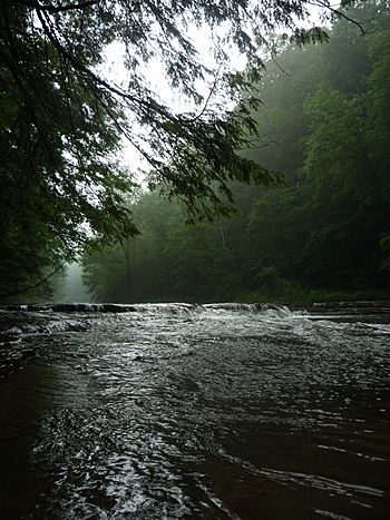 Chagrin river at south chagrin reservation.JPG