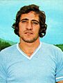Chinaglia panini card