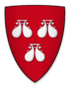 Coat of arms of Robert de Roos, Lord of Hamlake Castle.png