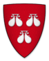 Coat of arms of Robert de Roos, Lord of Hamlake Castle.png